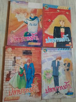 ปลายทางรัก ครบชุด 4 เล่มจบ