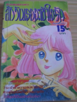 สักวันเธอจะเข้าใจรัก เล่มเดียวจบ