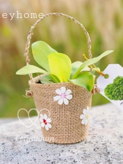 ต้นไม้ของชำร่วยต้นไม้มงคลห่อผ้ากระสอบมีหูหิ้วในตัวตกแต่งด้วยดอกเดซี่เล็กๆ