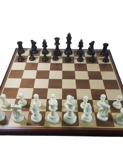 ชุดหมารกุกสากลกระดานไม้ช่องน้ำตาลขนาด5x5cm.พร้อมตัวเรซิ่นขนาดมาตรฐาน