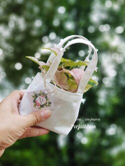 ต้นไม้ของชำร่วยในถุงผ้าดิบลดใช้ถุงพลาสติก