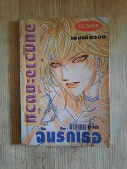 จนกว่าจะถึงวันฉันรักเธอ เล่มเดียวจบ