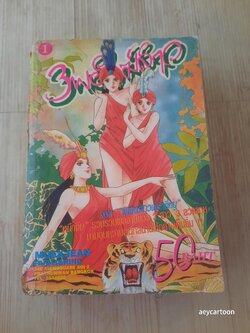 3 พยัคฆ์สาว เล่ม 1 (2 เล่มจบ)
