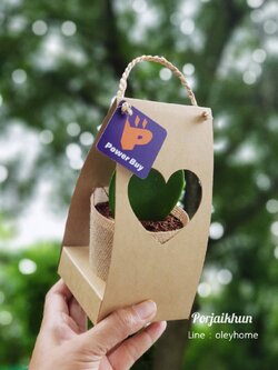 ต้นไม้มงคลใส่กล่องช่องหัวใจห้อยป้ายแท็ก