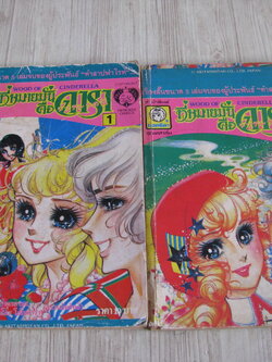 ที่หมายมั่่นคือดารา ชุด เล่ม 1-2 (5 เล่มจบ)