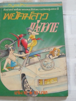 พยัคฆ์สาวแค็ทอาย เล่ม 16