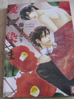 DYE OF LOVE เล่มเดียวจบ Ruri Fujikawa เขียน