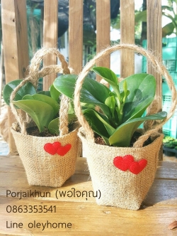 ของชำร่วยต้นไม้ใส่ถุงผ้ากระสอบหูหิ้วเชือกเปียแต่งหัวใจคู่