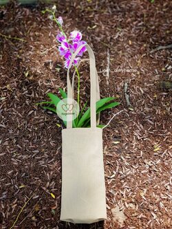 กล้วยไม้ของชำร่วยใส่ถุงหิ้ว