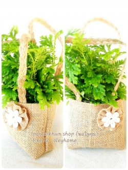 ต้นไม้ของชำร่วย ถุงผ้ากระสอบมีหูหิ้ว แต่งดอกไม้ผ้ากระสอบ