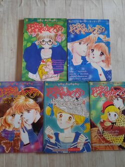 หัวใจใฝ่หารัก ครบชุด 5 เล่มจบ