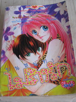 บนหนทางไม่ร้างรัก เล่มเดียวจบ