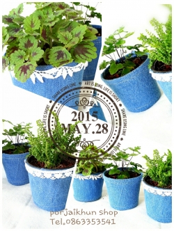 ต้นไม้ของชำร่วยห่อผ้ายีนส์ denim