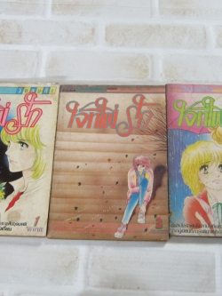 ใจที่ใฝ่รัก ชุด เล่ม 1,3,4