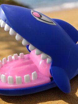 ปลาฉลามงับนิ้ว