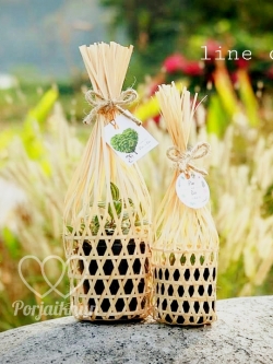 ของชำร่วยต้นไม้ ต้นไม้มงคลใส่ชะลอมจุก ขนาดกระถาง 2.5-3 นิ้ว