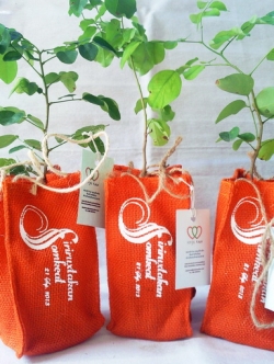 กล้าไม้ยืนต้นของชำร่วยในถุงผ้ากระสอบสกรีนโลโก้