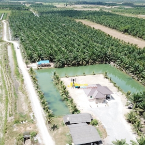 รับงานถ่ายภาพมุมสูง วิดีโอมุมสูง ด้วย Drone DJI Mavic Pro 4K Full HD (บินโดรน)