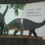TOUCH and FEEL DINOSAUR หนังสือเสริมพัฒนาการเด็กด้านภาษามือสอง
