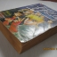 อิจิบัง กระดูกเหล็ก เล่มเดียวจบ Minegishi Tohru เขียน ***สินค้าหมด***