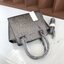 Charles & Keith Bag
