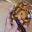 M.C.M X-MINI ZOO RABBIT BUCKET BAG IN VISETOS ใหม่ล่าสุด ฮิตมากที่เกาหลี และกำลังฮอตที่ไทยแล้วจ้า!! ไอเท็มสุดคิ้วท์ ซิกเนเจอร์ต้องมา กระเป๋าสะพายทรง bucket ไซส์เล็กขนาดน่ารักน่าใช้มากๆ ดีไซน์น้องกระต่ายด้านหน้าโดดเด่น วัสดุหนังแคนวาสคุณภาพดี รูดเปิด-ปิดกร