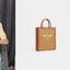 พรีเมี่ยมกิ๊ฟแท้ 100% 】พร้อมส่งที่ไทย!! ที่นี่ที่เดียว CELINE MINI VERTICAL CABAS IN MALLON TRIOMPHE JACQUARD AND CALFSKIN TOTE BAG งานหนังแท้