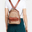 Coach Campus Backpack In Signature (Small) สาว ๆ คนไหนที่ชอบพกของเยอะและต้องการกระเป๋าที่ให้ความคล่องตัว ทะมัดทะแมง ใบนี้แนะนำเลยคะ ขนาดกำลังดี มีความหรูหราตามสไตล์ของ Coach ด้วยผ้าแคนวาสพิมพ์ลายเอกลักษณ์ของแบรนด์ มาพร้อมกับช่องซิปด้านหน้า เหมาะสำหรับจัดเ
