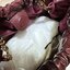 GUCCI MEDIUM QUILTED TOTE BAG / Gucci Hobo / Gucci Deco Medium Tote Bag พร้อมส่ง กระเป๋าสะพายใบใหญ่ หนังแท้ หนังสวย Interlocking G **สินค้าเกรดท็อปออริจินอลสลับแท้ 1:1 เกรดดีสุด