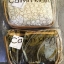 Calvin Klein Cross Body Bag กระเป๋าสะพายรุ่นใหม่ล่าสุดหนังสวย สกรีนลาย Signature แบรนด์รอบใบ ประดับโลโก้แบรนด์ สีทองด้านหน้า เปิดปิดด้วยซิป น้ำหนักเบา ภายใน โล่งกว้าง มีช่องใส่บัตร และช่องซิป ใส่ iphone+ ได้ มาพร้อมสายสะพายยาว ขนาดกำลังน่ารัก สะพายคล่องตั