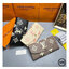 ORI หนังแท้ | LV Emilie Wallet Bicolor Monogram Empreinte Leather / LV Long Wallet กระเป๋าสตางค์ใบยาวสไตล์ซองจดหมายที่มีฝาปิดแบบพับได้ ปิดด้วยกระดุมแป๊ก