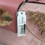 ALDO HARORTLAND BAG กระเป๋าทรง Box วัสดุผ้ากำมะหยี่แจ่งลาบฉลุสีทองสวยมากกกกกสุดๆ เปิดปิดด้วยกระดุมแม่เหล็ก เป็นลักษณะกล่อง เก๋ๆค่ะ ด้านในเป็นช่องโล่ง ใส่มือถือ กปต. เครื่องสำอางค์ จุได้เยอะค่ะ มาพร้อมสายยาว ปรับได้ 5 ระดับ และ พวงกุญแจพู่ ถอดได้ค่ะ แนะนำค
