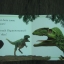 TOUCH and FEEL DINOSAUR หนังสือเสริมพัฒนาการเด็กด้านภาษามือสอง