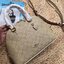 Coach KATY SATCHEL IN SIGNATURE CANVAS (COACH 2558)