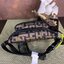LONGCHAMP LE PLIAGE LGP BELT BAG M เท่ห์อย่างมีสไตล์กระเป๋าทรงคาดอกและคาดเอวดีไซน์แนวสปอร์ต เพิ่มความโดดเด่นทันสมัยด้วยลายซิกเนเจอร์ มีช่องซิปที่ใช้งานง่ายช่วยให้คุณหยิบใช้สิ่งของจำเป็นได้อย่างสะดวกและง่ายดาย และผสานสายรัดแบบปรับได้เข้ากับหัวเข็มขัดตัวล็อ