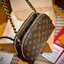 LV Be Alma bag Monogram Canvas / LV Pouch Bag กระเป๋าทรงพอชรุ่นใหม่สุดไอคอนิก เปิดตัวในคอลเลคชั่น Cruise 2025 ขนาดกะทัดรัดประดับสายโซ่สีทองถักสลับหนัง ใช้เป็นกระเป๋าใส่เครื่องสำอางค์ก็ลงตัว