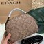 COACH SERENA SATCHEL CROSSBODY BAG กระเป๋าทรงโดมเล็ก น่ารัก แต่ใส่ของได้จุเลยทีเดียว!! มี2ช่องซิปหลัก ช่องค่อนข้างกว้าง สามารถใส่กระเป๋าเงินใบกลางได้;ของจำเป็นอื่นๆได้ครบเลยค่ะ มีช่องเล็กให้ใส่ของจุกจิก ด้านหลังมีช่องเล็กให้อีกช่องค่ะ พร้อมสายยาวถอดออกได้