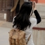 กระเป๋ากล้อง COURSER F1006