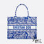 DIOR Book Tote Fluorescent Orange Toile de Jouy Transparent Canvas เกรดออริจินอล ภาพสินค้าถ่ายจากงานขายจริงใช้งานต่างประเทศได้