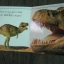 TOUCH and FEEL DINOSAUR หนังสือเสริมพัฒนาการเด็กด้านภาษามือสอง