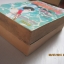 พิชชิ่งบอย ชุด เล่ม 2,3 ( 3 เล่มจบ ) ขาดเล่ม 1 ( จองแล้ว )***สินค้าหมด***