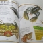 สารานุกรมสำหรับเยาวชน ชุด โลกของเรา โลกของสัตว์ (Animal World) Angela Wilkes เขียน ศ.ดร.กฤษณา ชุติมา แปล***สินค้าหมด***