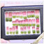พลอยหายาก ทัวร์มาลีน 2 สี Bi Color Tourmaline พลอยแตงโม ผลึกสวย น่าสะสม