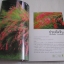 คู่มือคนรักต้นไม้ ชุดที่ 5 ไม้พุ่ม (Shrub & Bush) อิศรา แพงสี เขียน***สินค้าหมด***