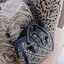 TORY BURCH FACTORY MONOGRAM JACQUARD BOSTON BAG กระเป๋าถือหรือสะพายรุ่นใหม่ล่าสุดจาก TORY BURCH FACTORY วัสดุ Woven Jacquard & Leather ในลาย Jacquard คงเอกลักษณ์แบรนด์สวยอยู่ทรงดีไซน์โดดเด่นทรง Boston เปิดปิดด้วยซิปคู่สะดวกใช้ขนาดกำลังดีใส่กระเป๋าสตางค์ยา