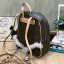 5สี Guess Woman’s Backpack กระเป๋าเป้สะพายรุ่นใหม่! วัสดุหนังsaffiano ขนาดกลางกำลังดี เปิดปิดด้วยหัวซิปหนัง ภายในบุผ้าลายsignature กว้างใส่ของได้เยอะ กระเป๋าสตางค์ยาว มินิไอแพค ด้านหน้ามีอีกหนึ่งช่องซิปเก็บของจุกจิกได้ มีโลโก้ตัวนูนเป็นดีเทลน่ารักๆ สายสะพ