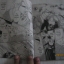 อัศวินฮาโลวีน ครบชุด 2 เล่มจบ Chisato Nakamura เขียน***สินค้าหมด***