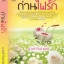 E-book ถ่านไฟรัก / นางฟ้าในสายลม