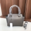 Charles & Keith Bag