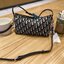 Medium DiorTravel Nomad Pouch Blue Dior Oblique Jacquard / DIOR AMBER MEDIUM BUCKET BAG กระเป๋าถือทรงพอช หรูหรามีสไตส์เป็นเอกลักษณ์